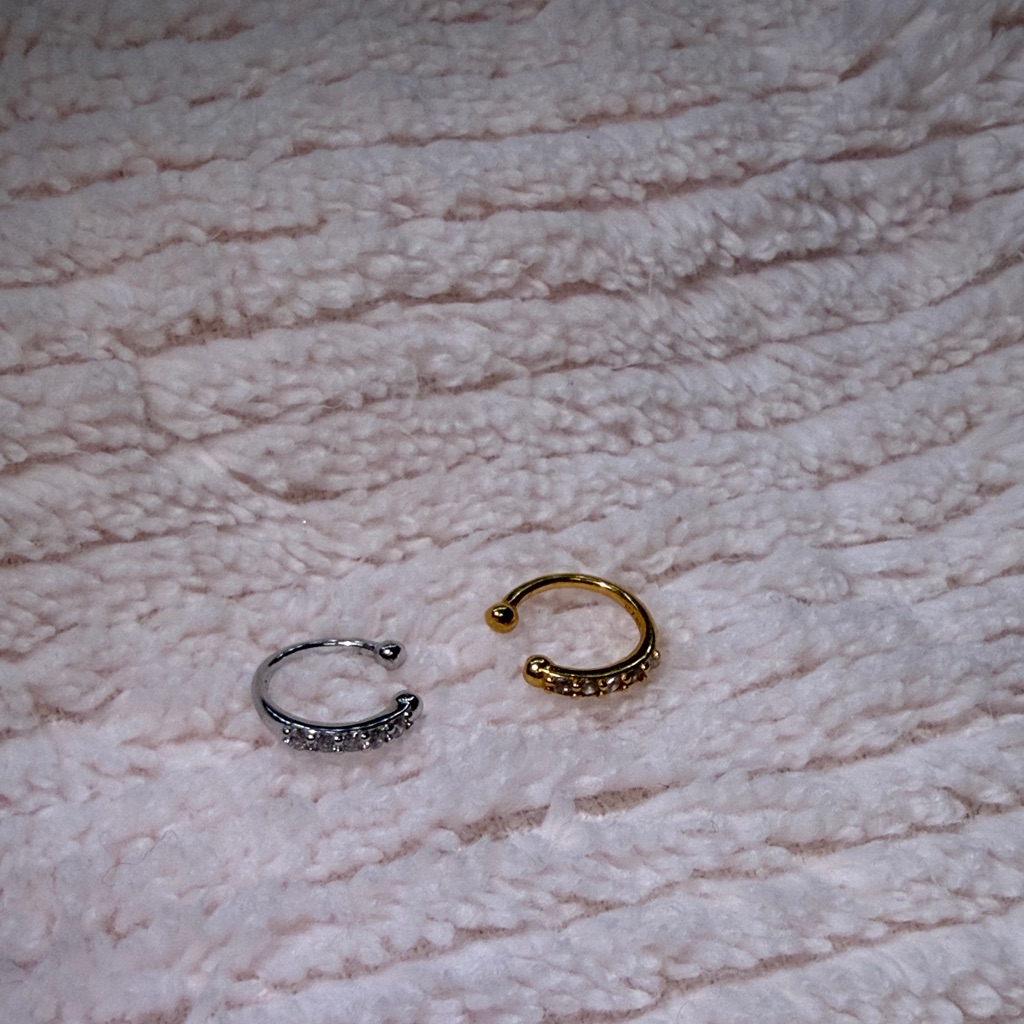 Nwot Fake LipNose Ring 20$